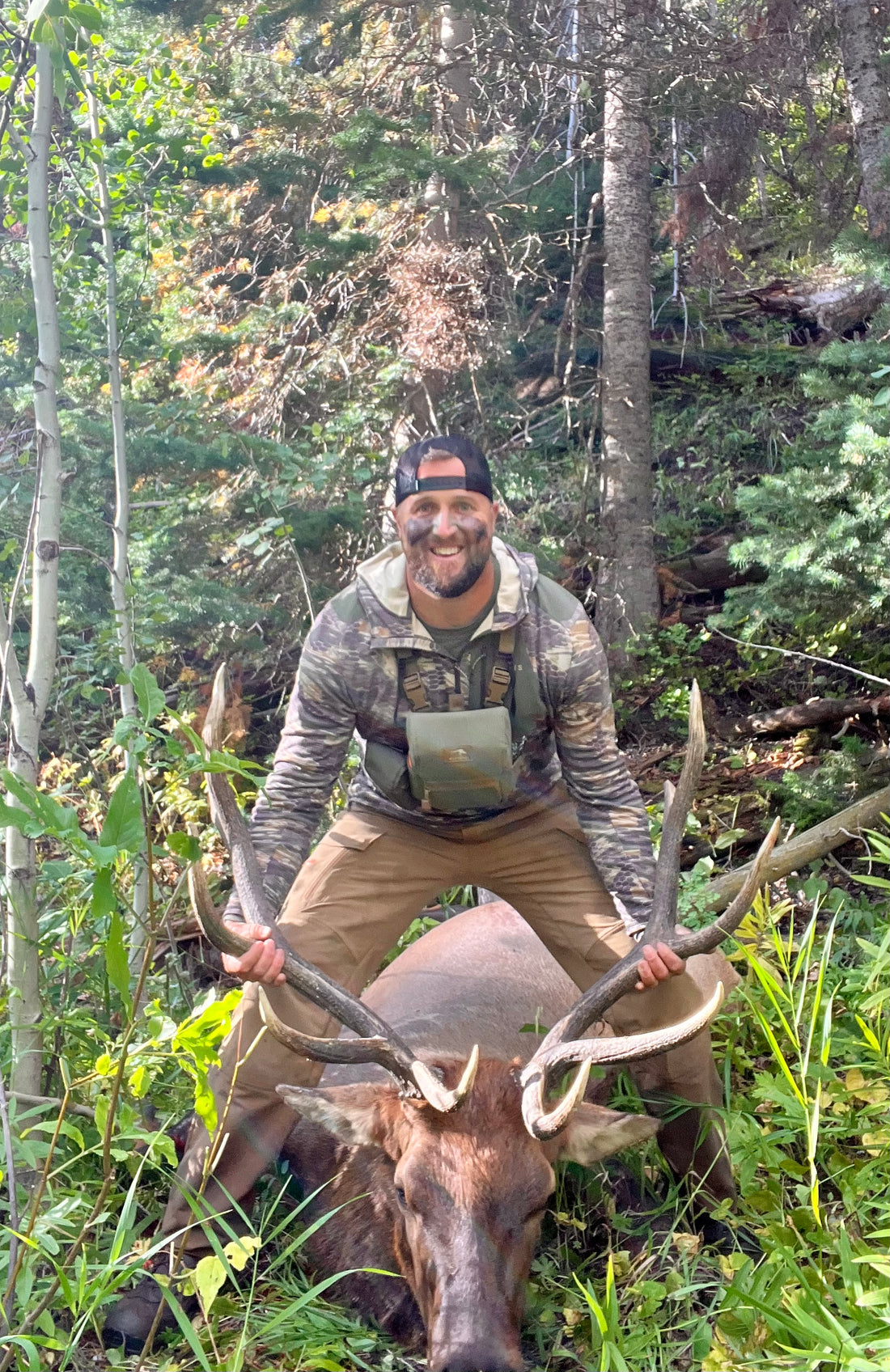 Solo Bull: DIY Public Land Hunt, from Timber to Table